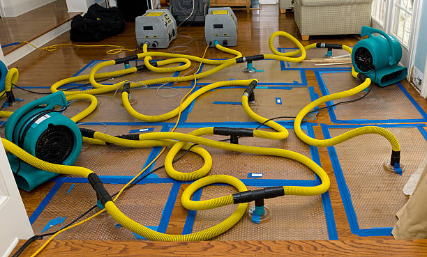 Professional Water Extraction technician working in Saint Croix Falls, WI